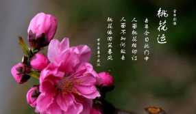 數(shù)字能量學(xué)揭秘：絕命加延年組合對(duì)財(cái)富與房產(chǎn)的影響