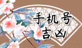 小偉數(shù)字能量學(xué)：1349風(fēng)水號碼，真的能幫到你嗎？