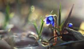 為什么別人創(chuàng)業(yè)能賺錢，而你卻虧得血本無歸？