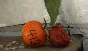 手機(jī)號(hào)碼測(cè)算常見問題答疑：數(shù)字能量對(duì)運(yùn)勢(shì)的影響解析