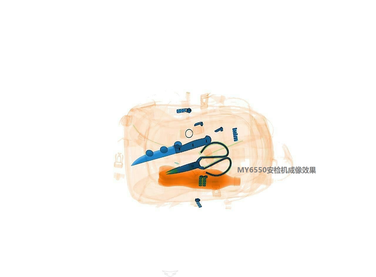 X光機掃描圖像-牧原